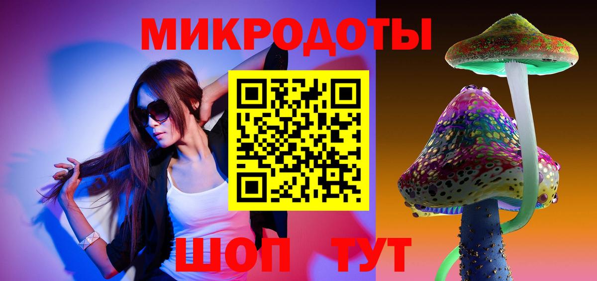 Псилоцибиновые грибы Psilocybe Кимовск