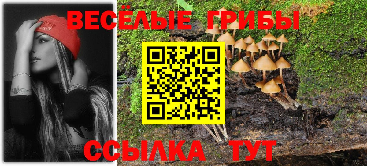 Псилоцибиновые грибы Psilocybine cubensis  Вход с VPN  Кимовск 
