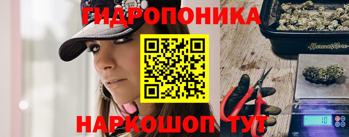 МАРИХУАНА индика Кимовск